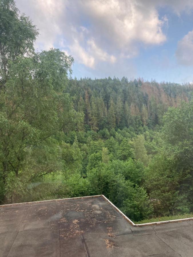 Apartment Waldblick *